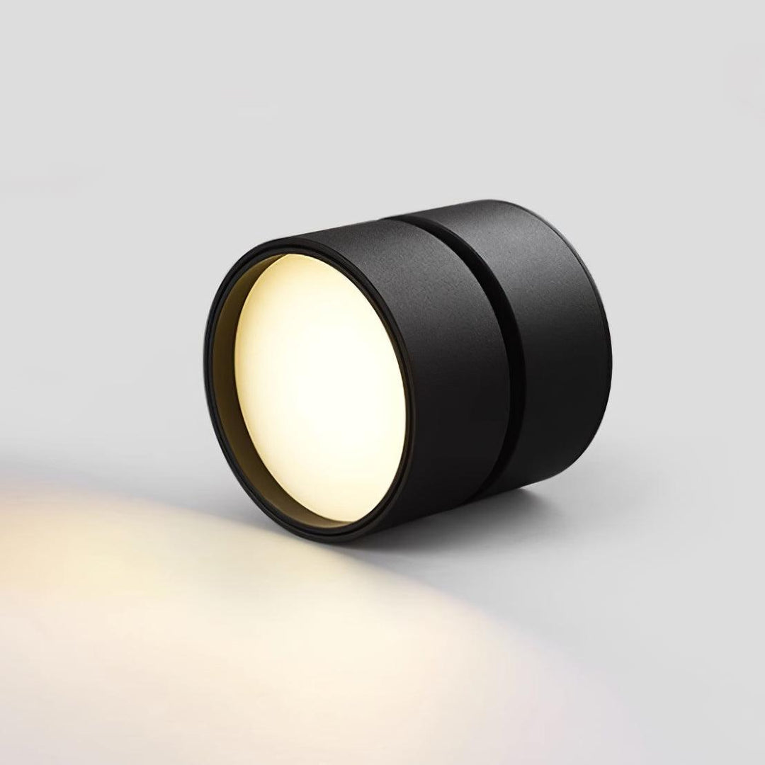 Lampa sufitowa Favilla