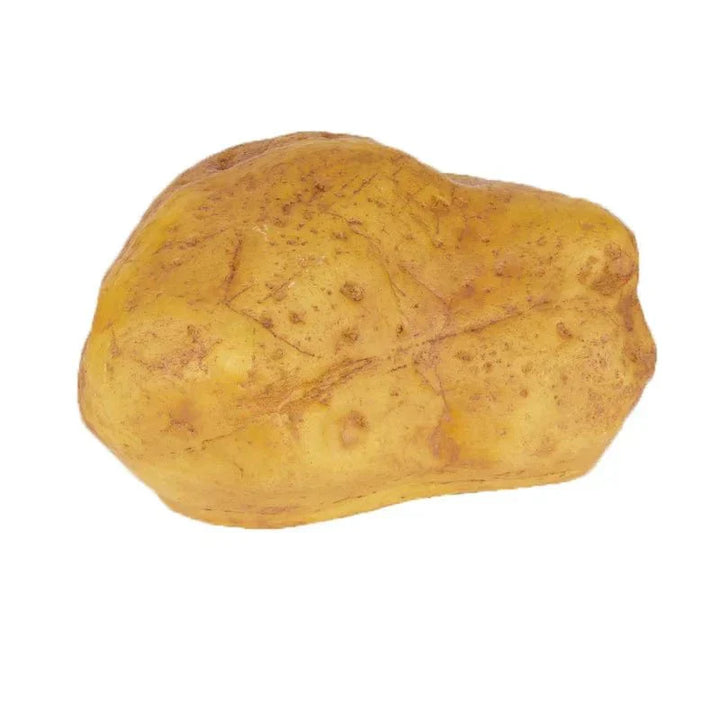 Żywa Kamienna Lampa Zewnętrzna